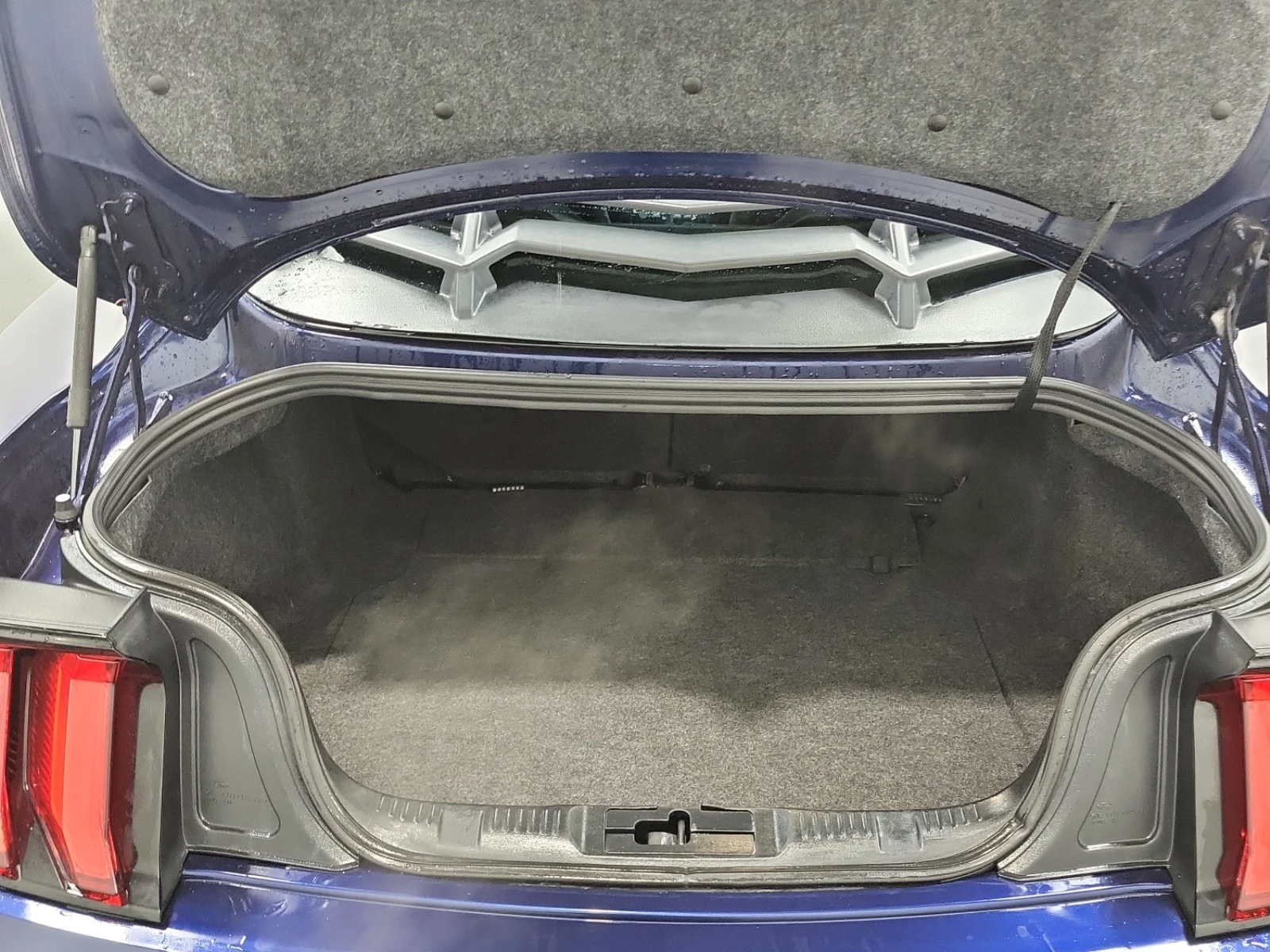 Ford Mustang EcoBoost Fastback, снимка 14 - Автомобили и джипове - 53761090