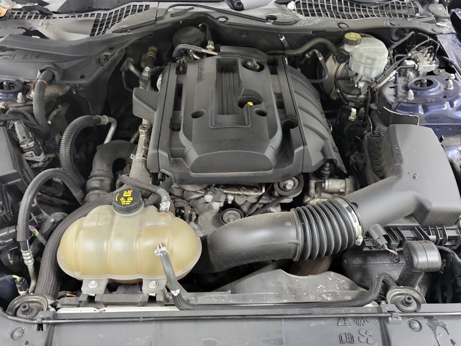 Ford Mustang EcoBoost Fastback, снимка 16 - Автомобили и джипове - 53761090