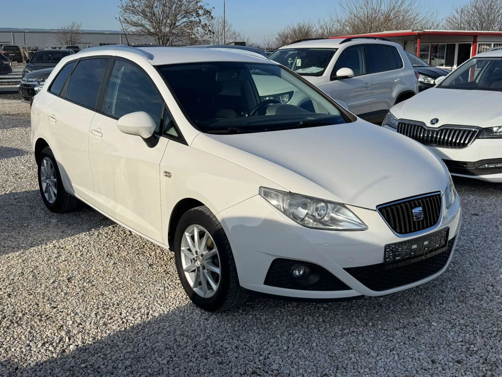 Seat Ibiza 1.6TDI, снимка 3 - Автомобили и джипове - 53786763
