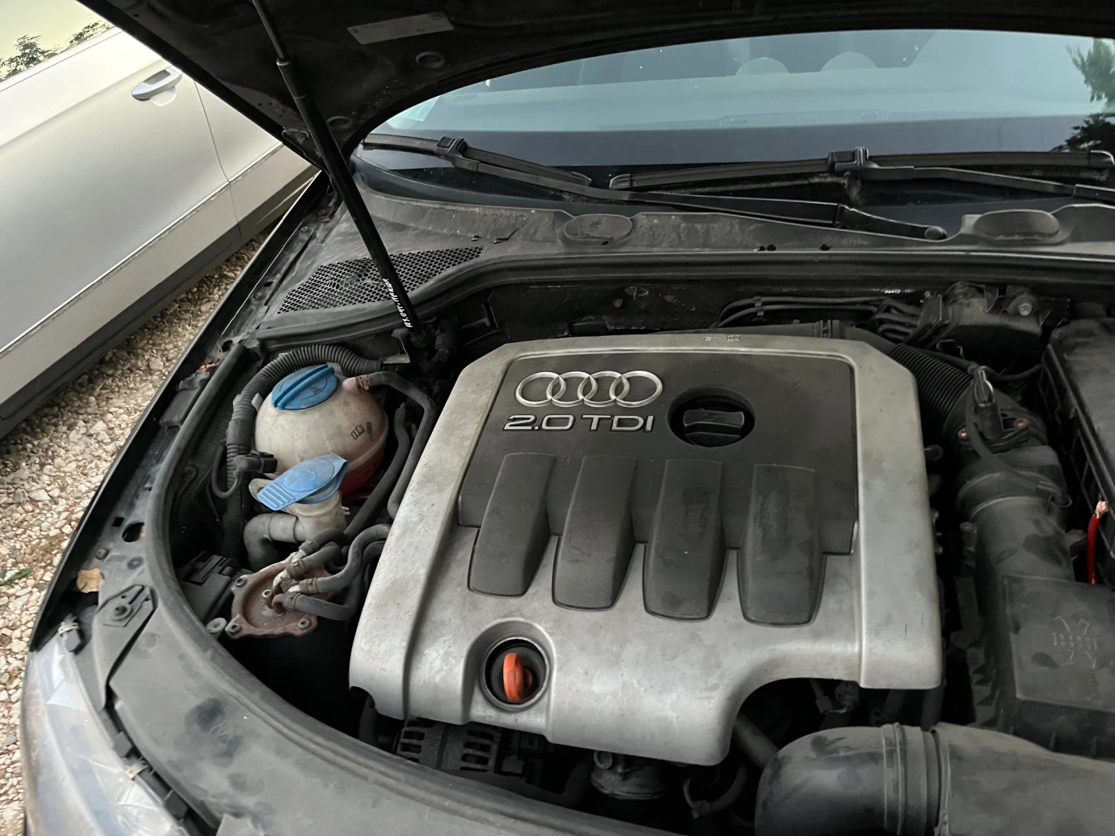 Audi A3 2.0TDI, снимка 8 - Автомобили и джипове - 56251411
