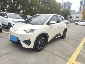 BYD Seagull Dolphin Surf  38.9 kWh, снимка 1