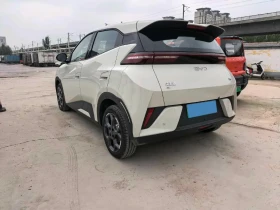 BYD Seagull Dolphin Surf  38.9 kWh, снимка 2