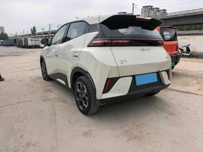 BYD Seagull Dolphin Surf  38.9 kWh, снимка 2 - Автомобили и джипове - 52731074