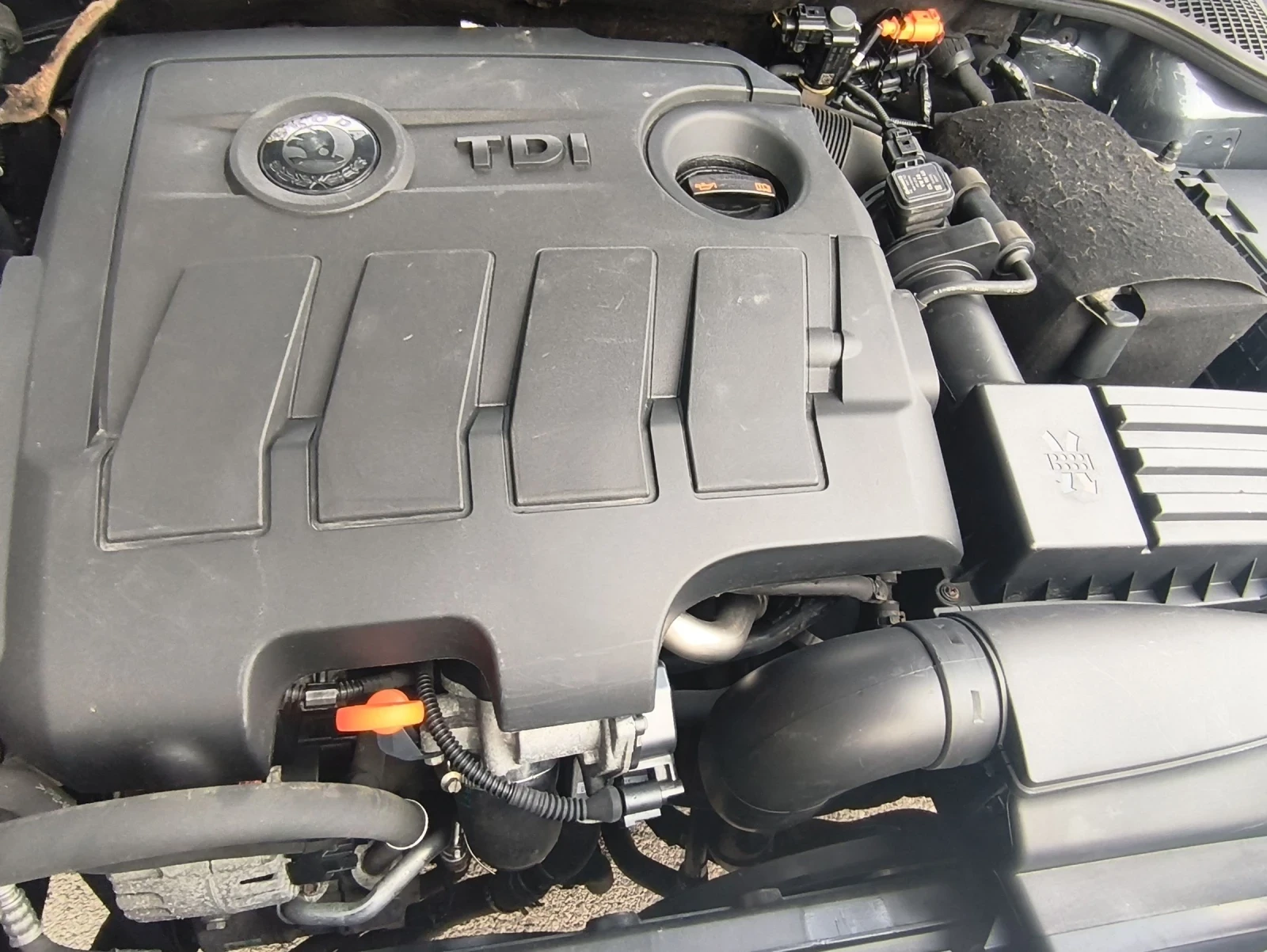 Skoda Octavia 1.6TDI 4x4 Swiss | Mobile.bg — изображение 11