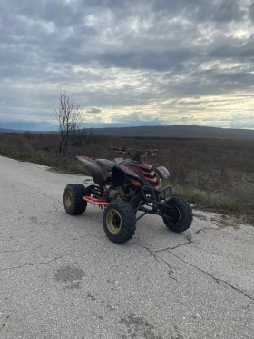 Yamaha Raptor, снимка 4