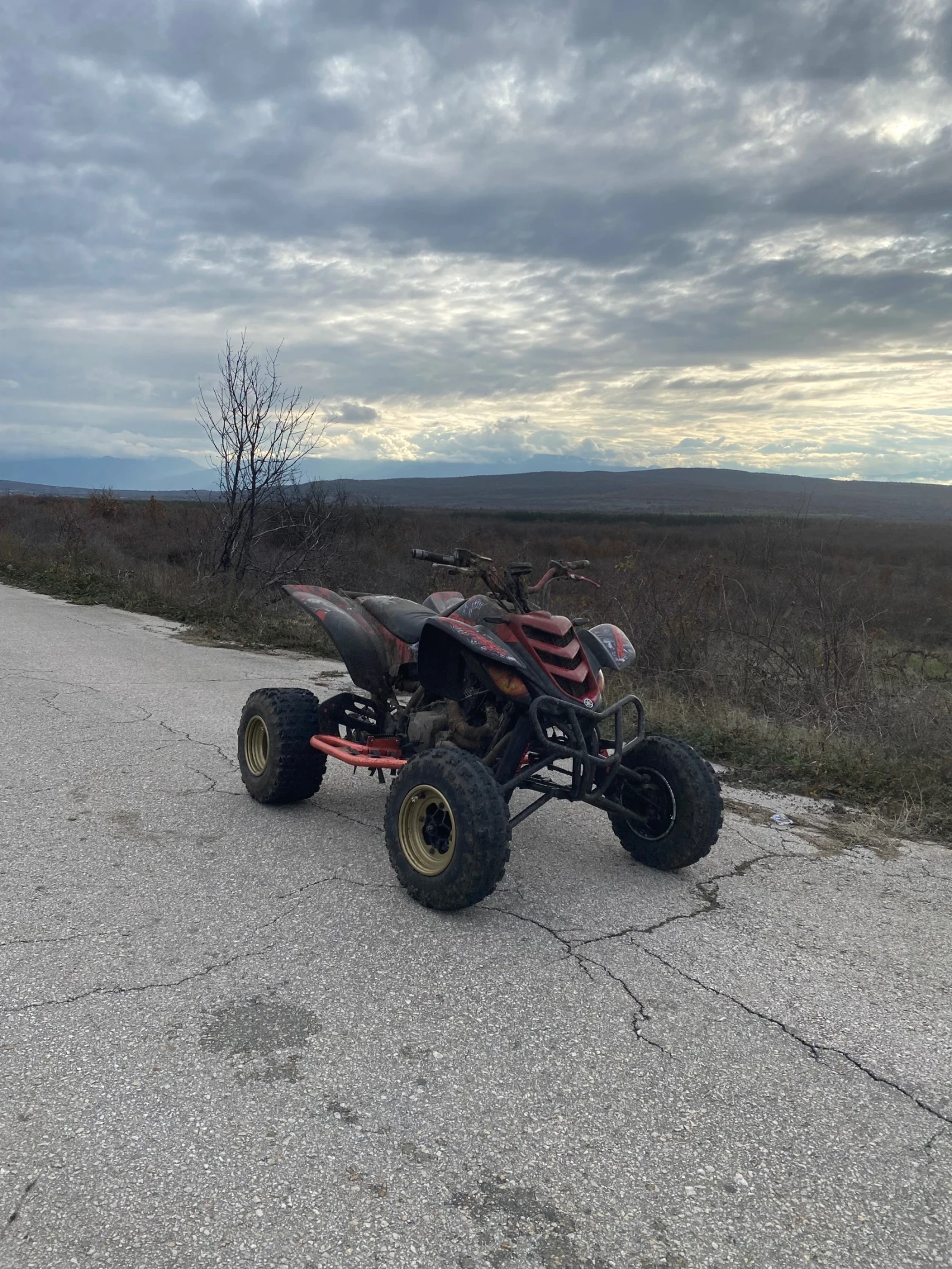 Yamaha Raptor, снимка 4 - Мотоциклети и мототехника - 54427272