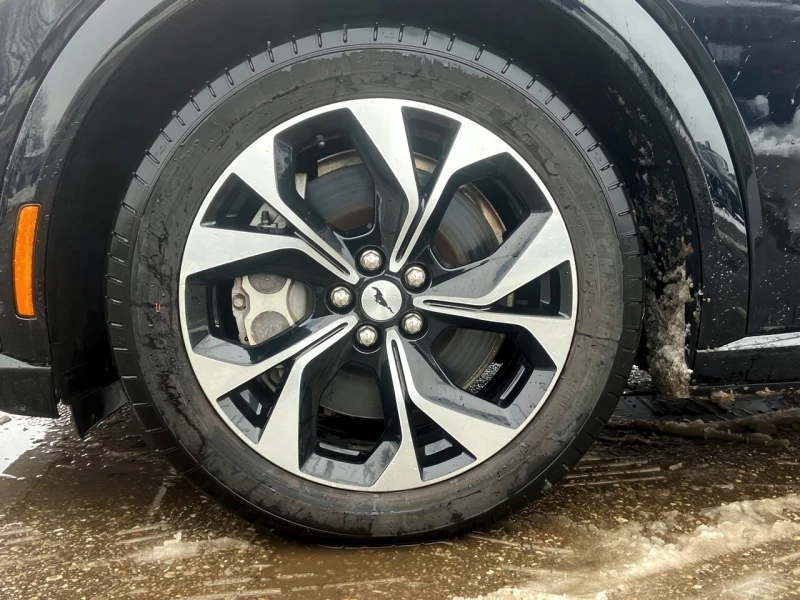 Ford Mustang AWD, С РЕГИСТРАЦИЯ&АВТО КРЕДИТ, снимка 7 - Автомобили и джипове - 53270434