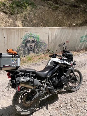 Triumph Tiger XcX | Mobile.bg    3