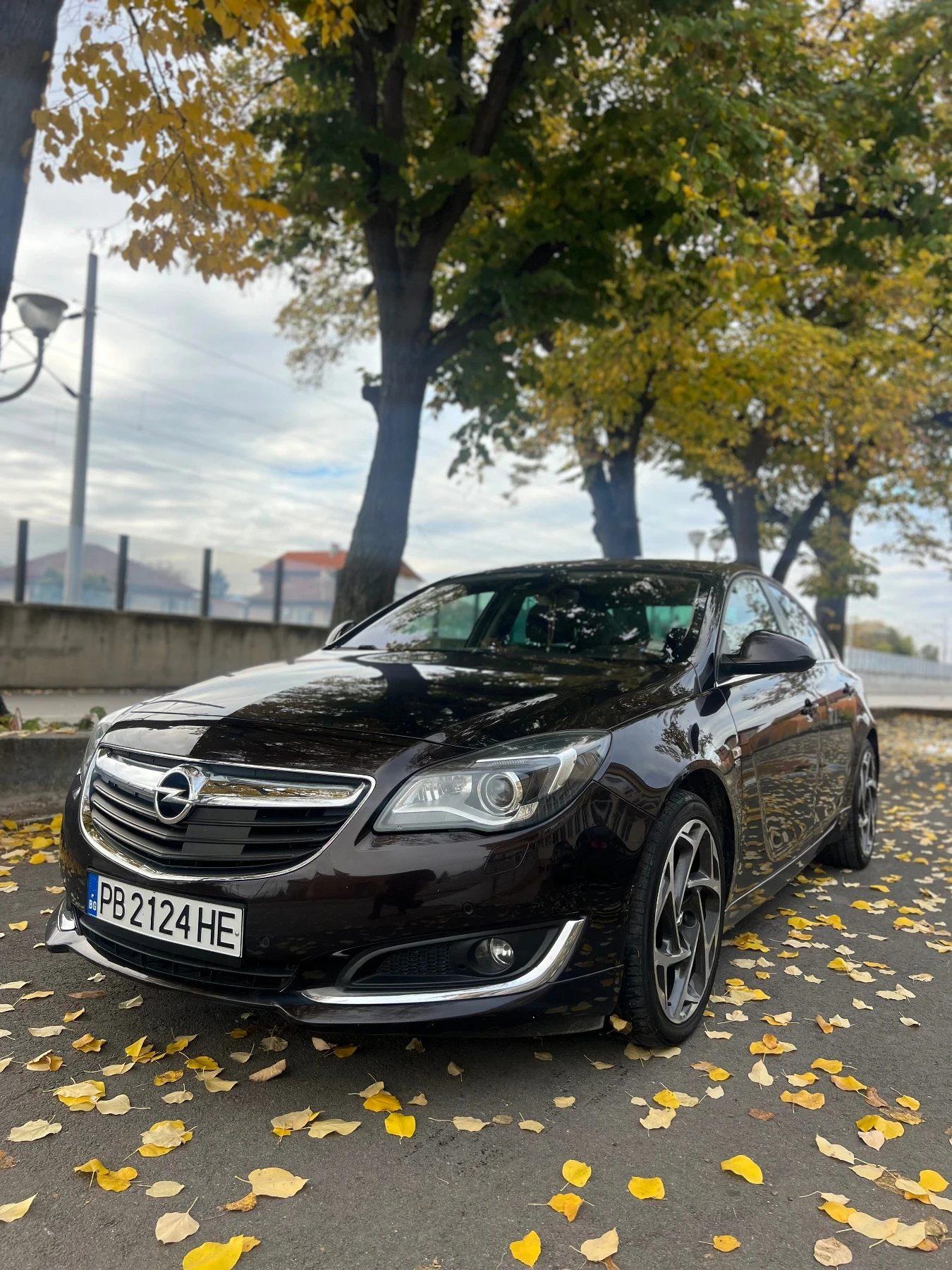 Opel Insignia 2.0T 4х4 Швейцария - изображение 2