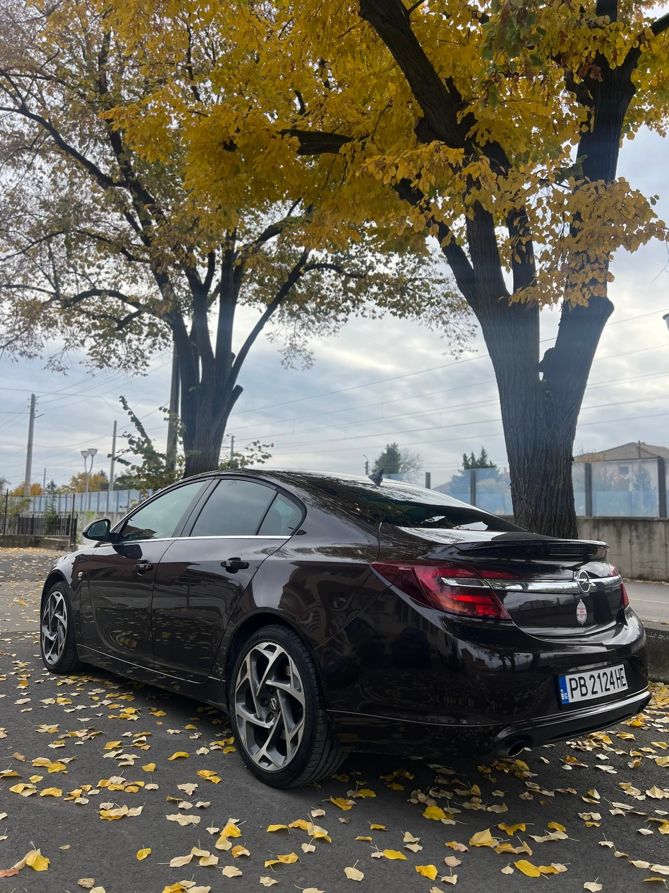 Opel Insignia 2.0T 4х4 Швейцария - изображение 4