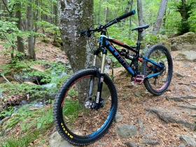 ������ ���������