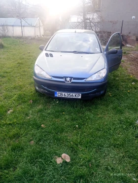 Peugeot 206 HDI - изображение 1
