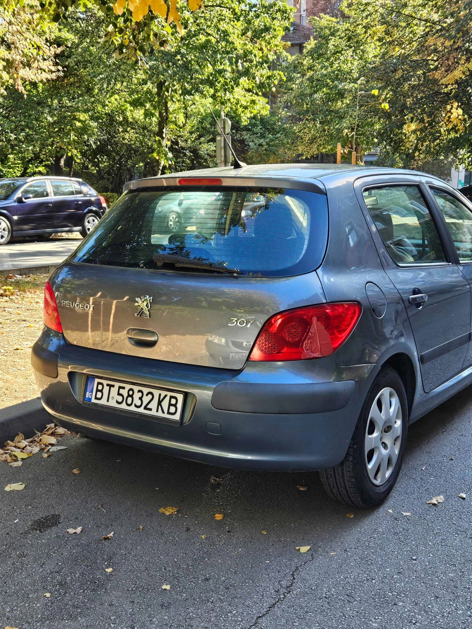 Peugeot 307 1.6 I, снимка 9 - Автомобили и джипове - 54981073