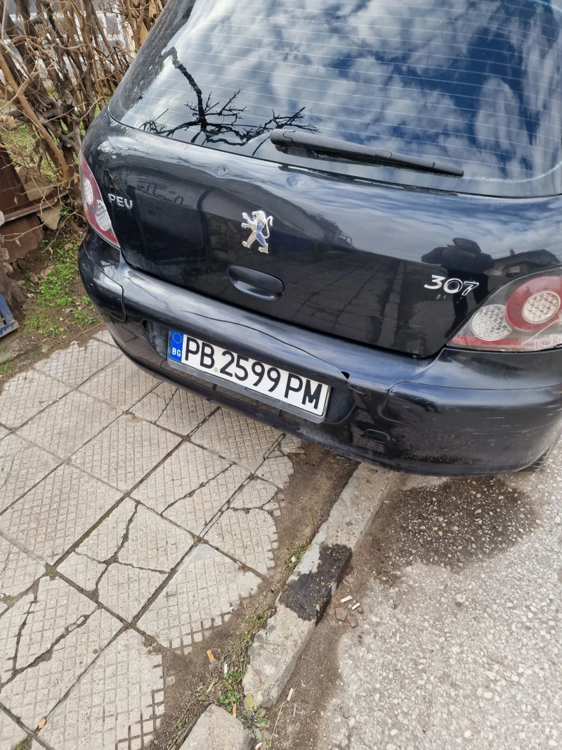 Peugeot 307 2.0 HDI, снимка 2 - Автомобили и джипове - 48775040