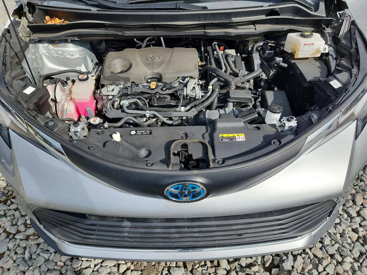 Toyota Sienna 2.5l Xle | Mobile.bg � ����������� 12
