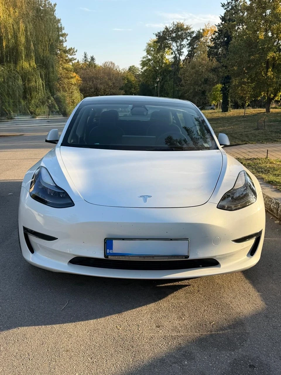 Tesla Model 3 Dual Motor Long Range, снимка 2 - Автомобили и джипове - 56453361