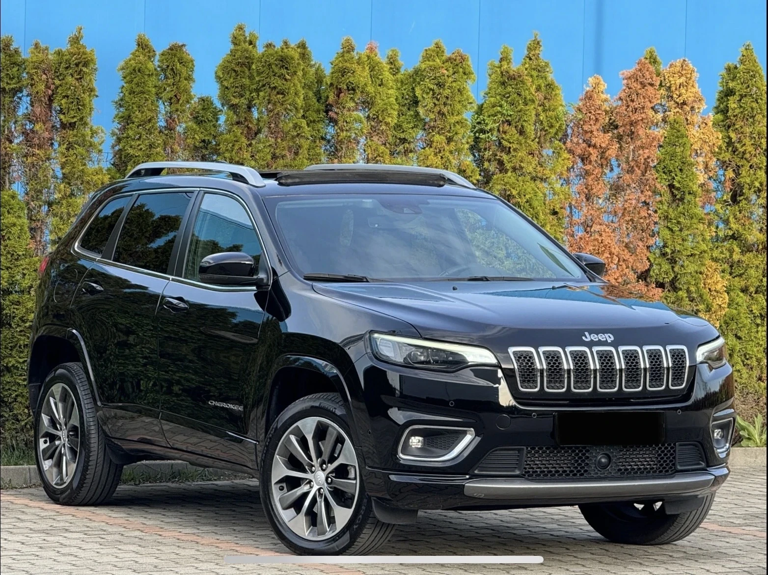 Jeep Cherokee 2.2 Mjt AWD 4x4 OVERLAND FULL - изображение 6