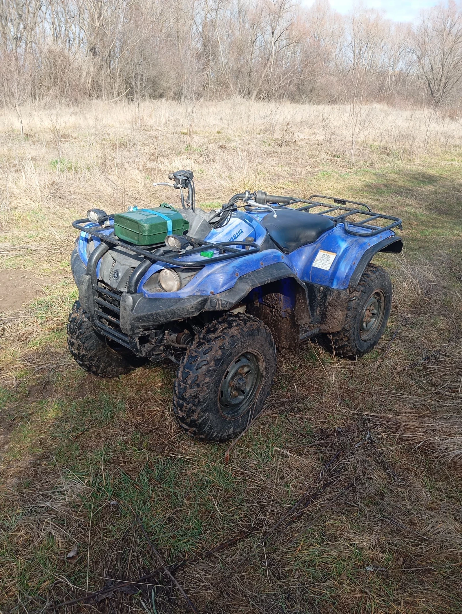 Yamaha Grizzly  - изображение 7