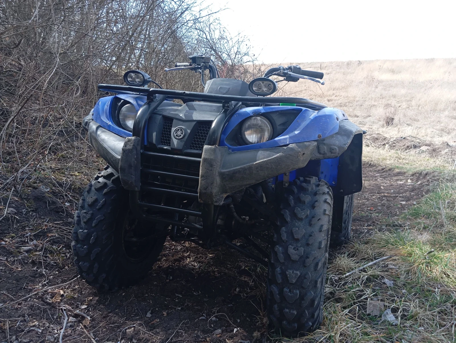 Yamaha Grizzly | Mobile.bg � ����������� 1