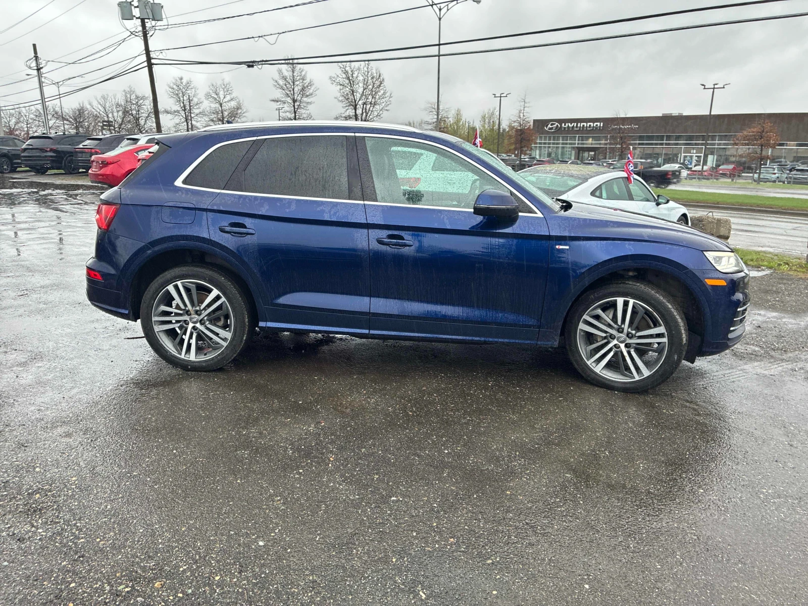 Audi Q5 PROGRESSIV S-LINE* ОБДУХВАНЕ* PANORAMA* , снимка 4 - Автомобили и джипове - 54444428