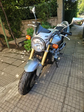 Honda Hornet | Mobile.bg � ����� ������ 7