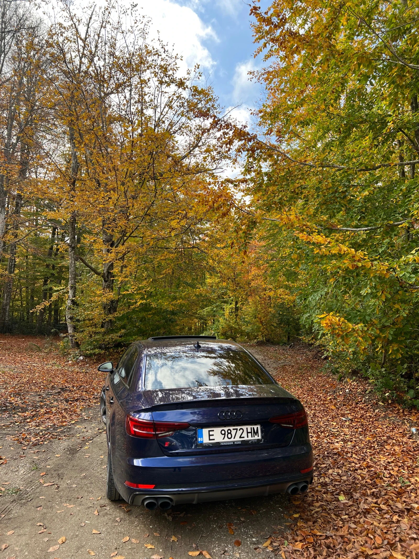 Audi S4, снимка 11 - Автомобили и джипове - 55694529