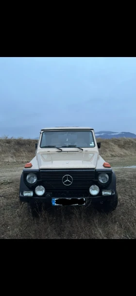 Mercedes-Benz G 300GD, снимка 1