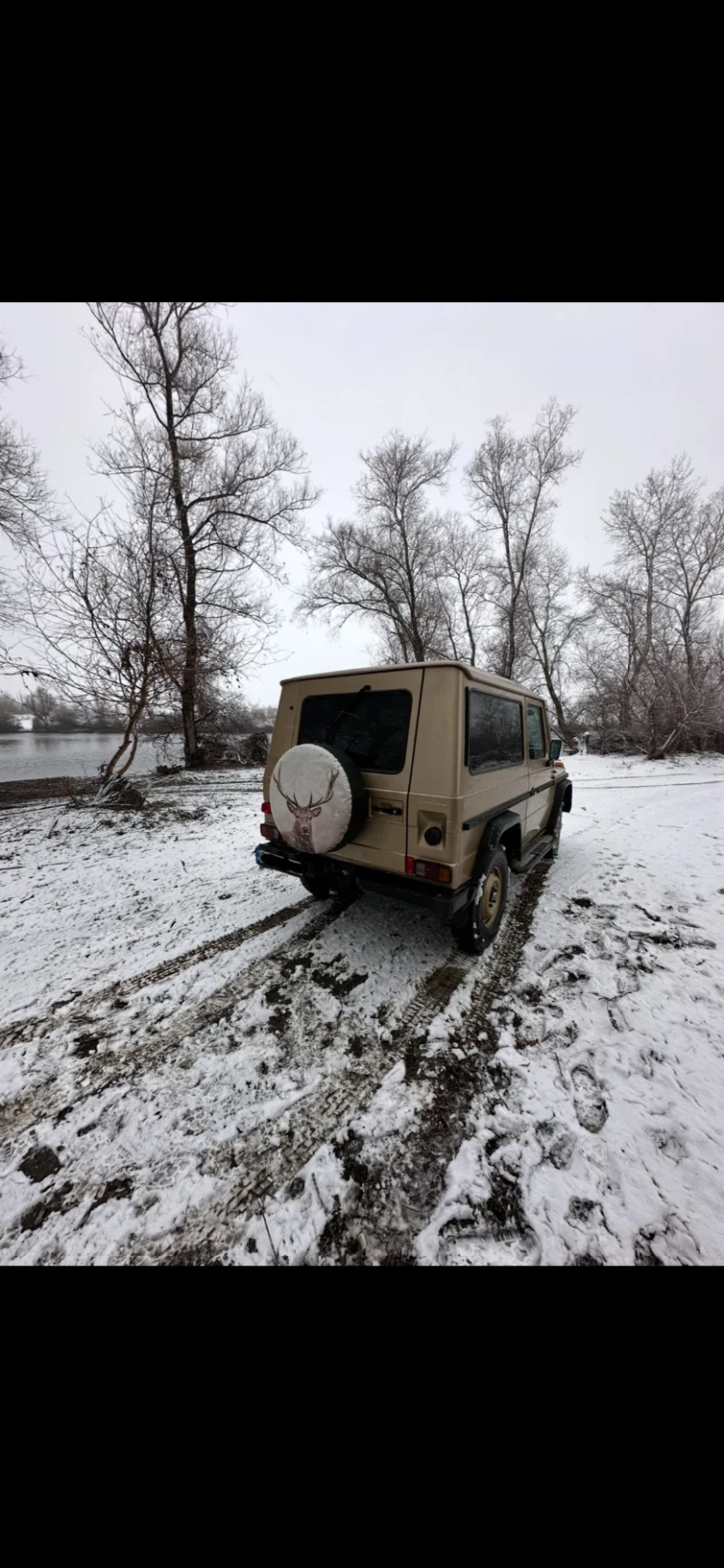 Mercedes-Benz G 300GD, снимка 6 - Автомобили и джипове - 49015013