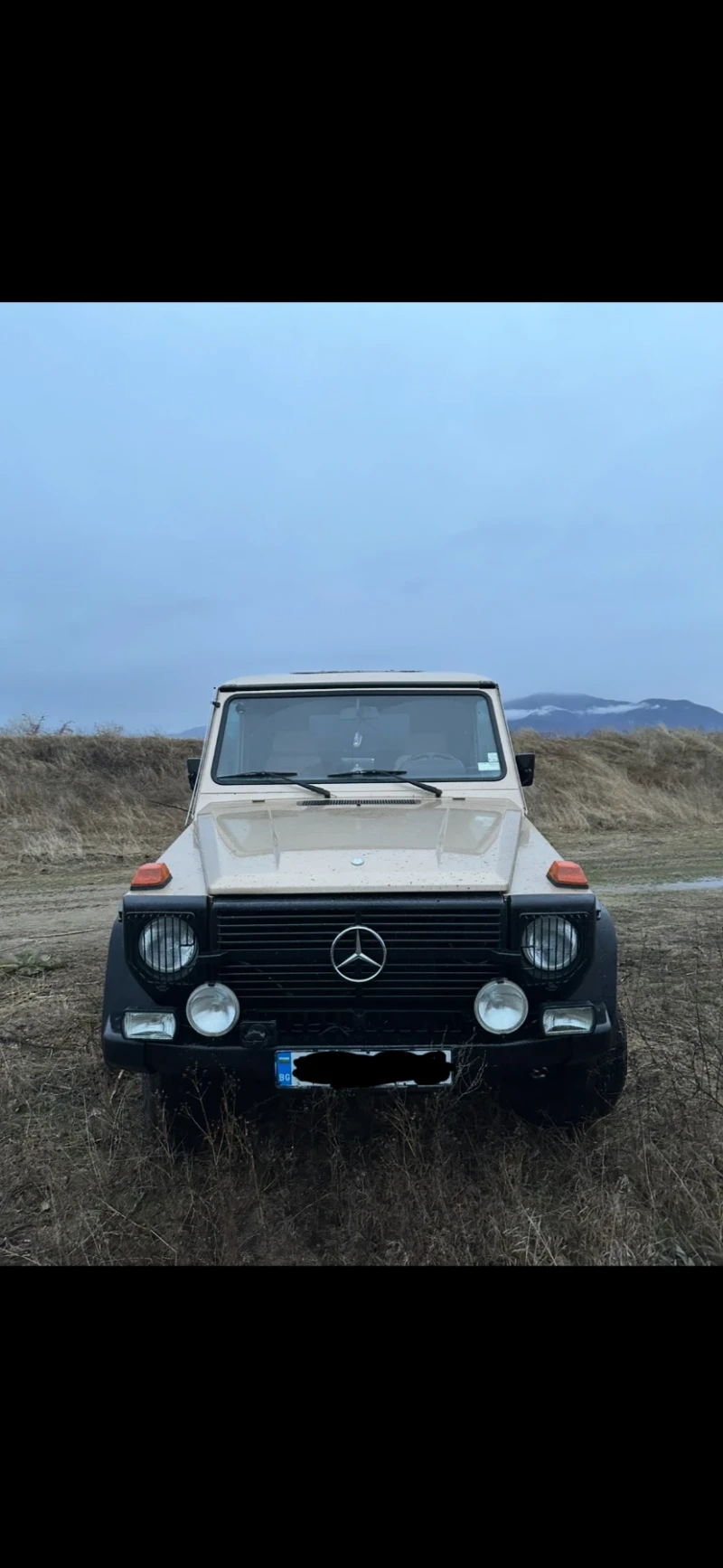 Mercedes-Benz G 300GD, снимка 1 - Автомобили и джипове - 49015013