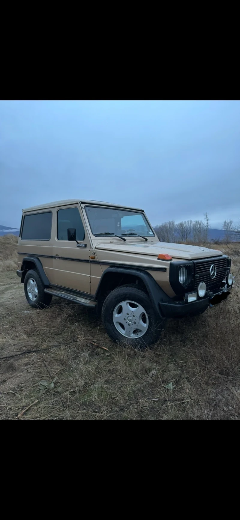 Mercedes-Benz G 300GD, снимка 2 - Автомобили и джипове - 49015013