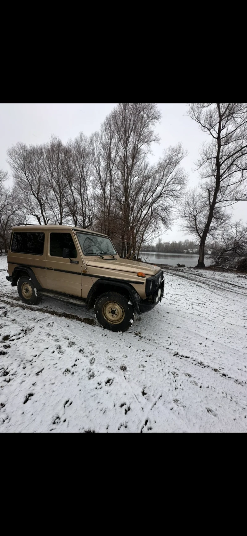 Mercedes-Benz G 300GD, снимка 4 - Автомобили и джипове - 49015013