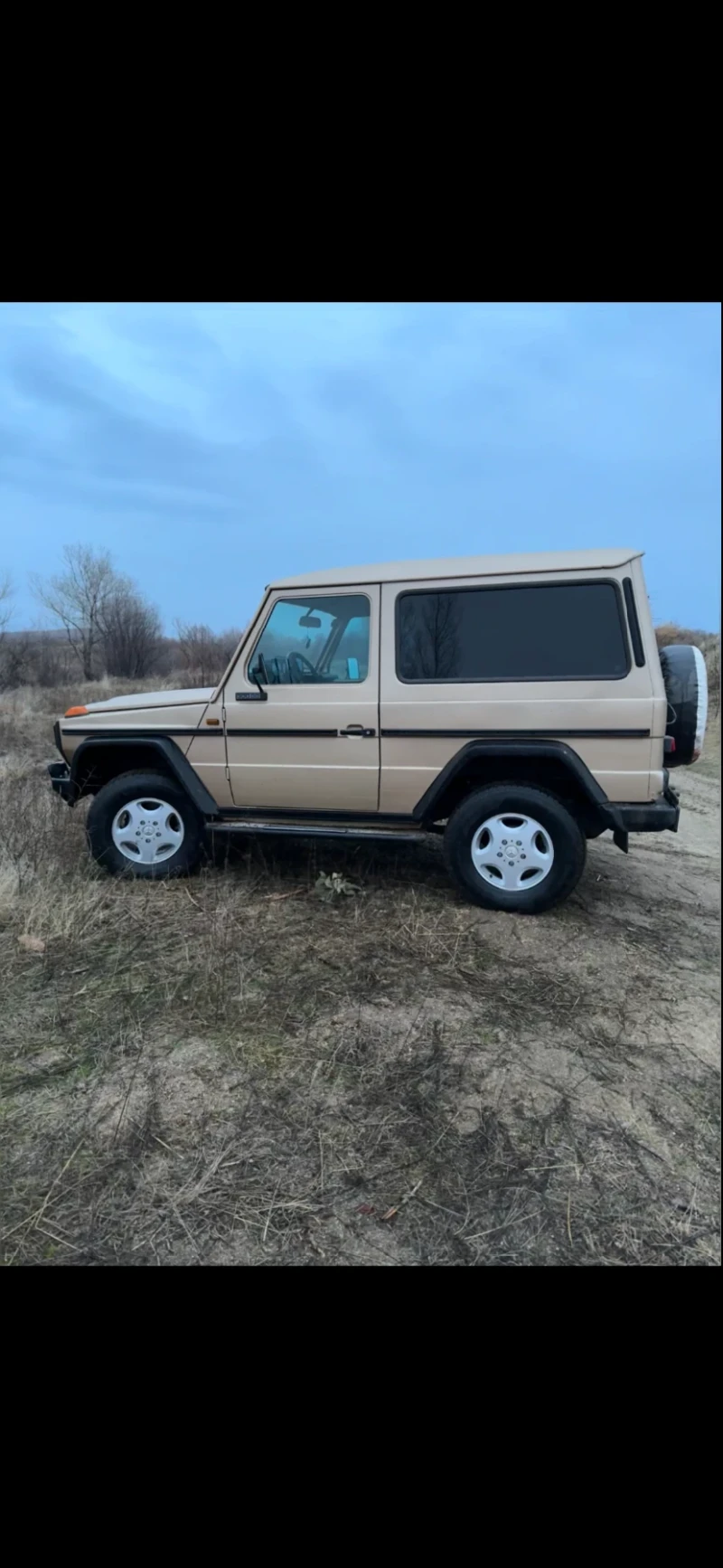 Mercedes-Benz G 300GD, снимка 3 - Автомобили и джипове - 49015013