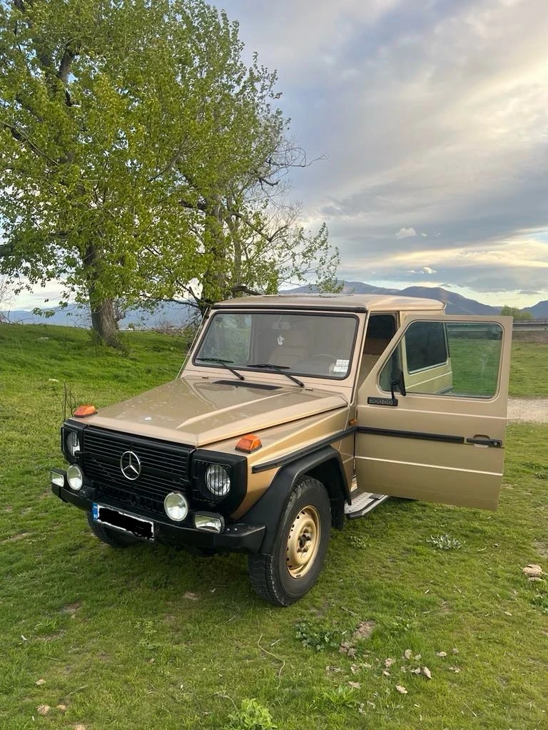 Mercedes-Benz G 300GD - изображение 8