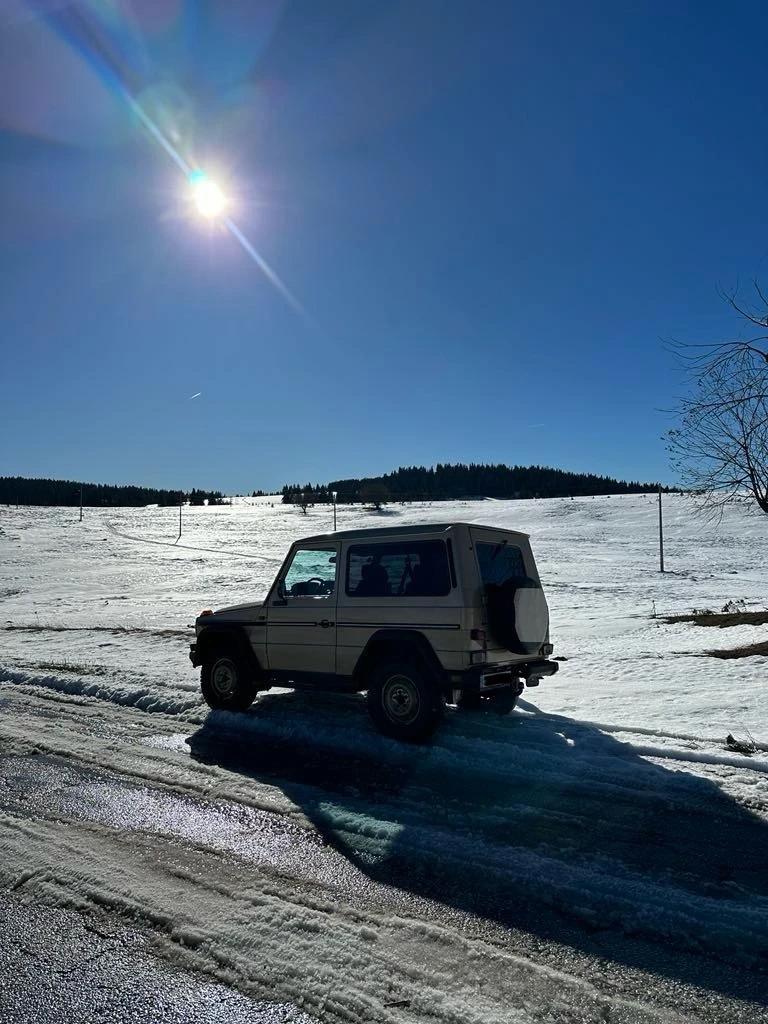 Mercedes-Benz G 300GD, снимка 7 - Автомобили и джипове - 49015013