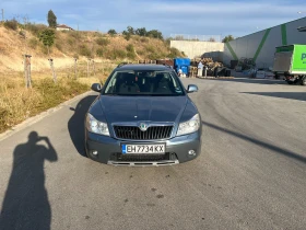Skoda Octavia SCOUT | Mobile.bg    3