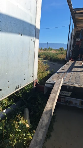 ����������� Fruehauf Gumbo | Mobile.bg � ����� ������ 5