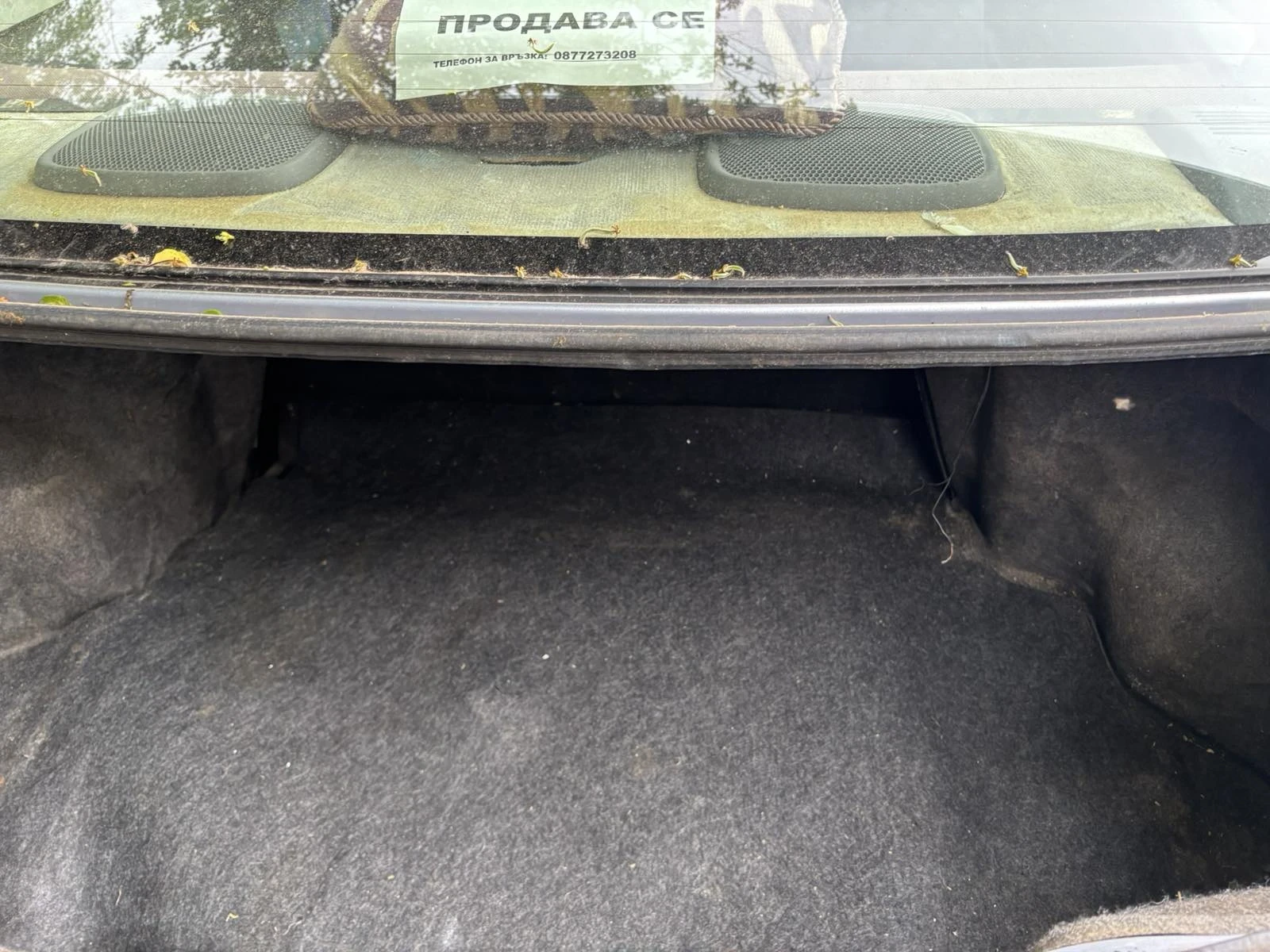 Toyota Paseo  - изображение 5