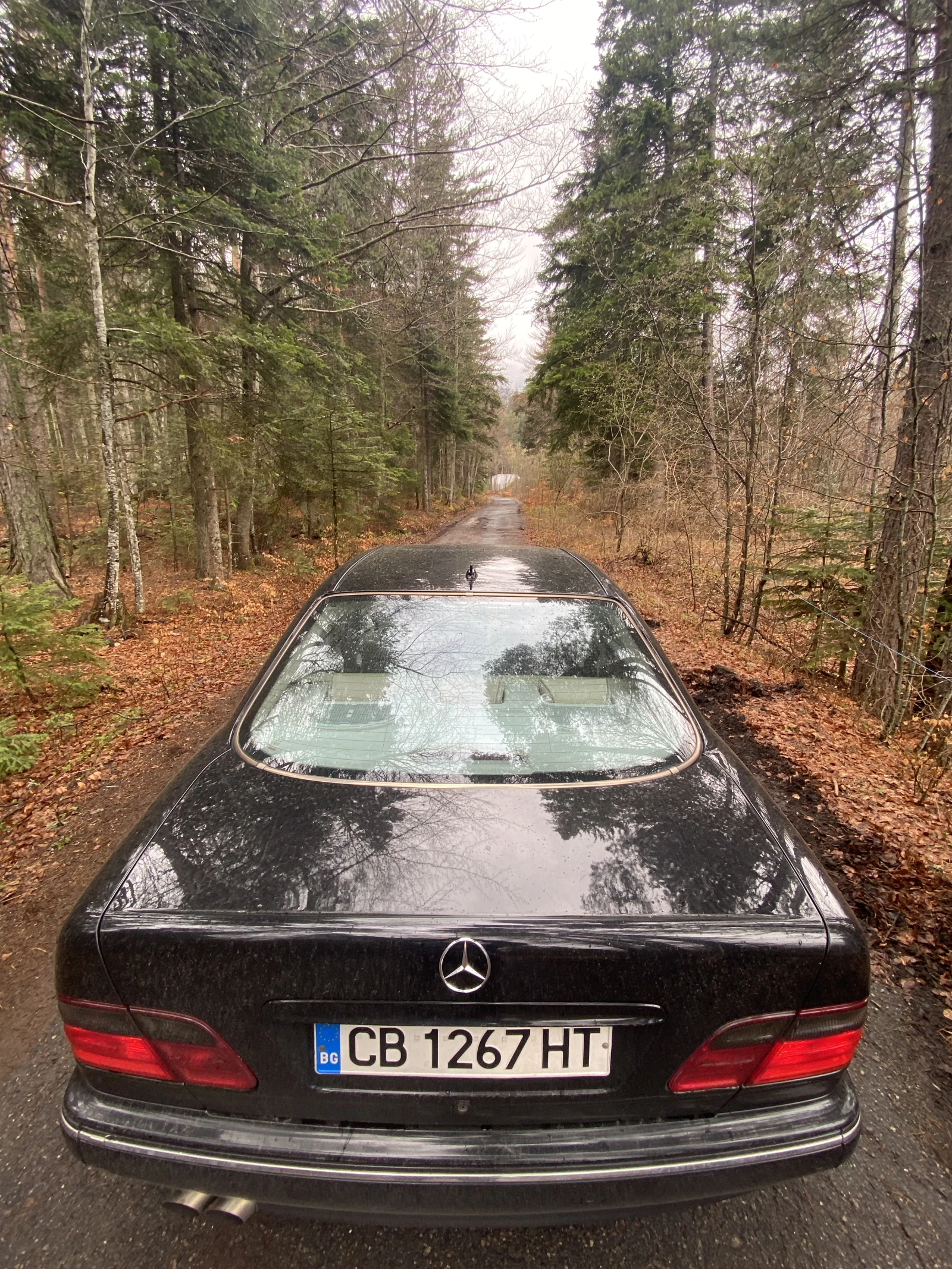 Mercedes-Benz E 430 | Mobile.bg � ����������� 4