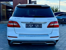 Mercedes-Benz ML 250 4-MATIC Bluetec, снимка 6