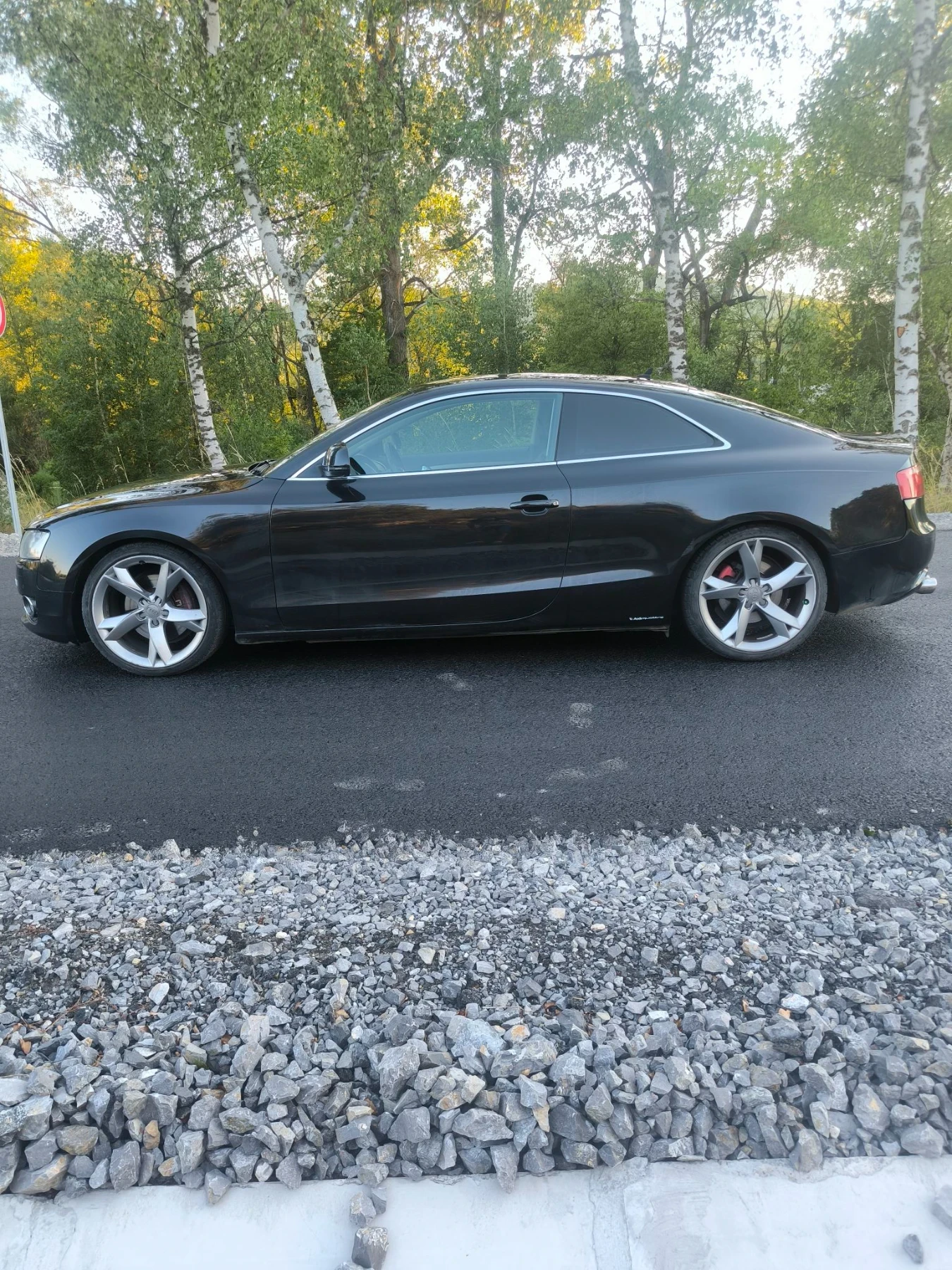 Audi A5 3.0TDI Quattro S-Line | Mobile.bg � ����������� 8
