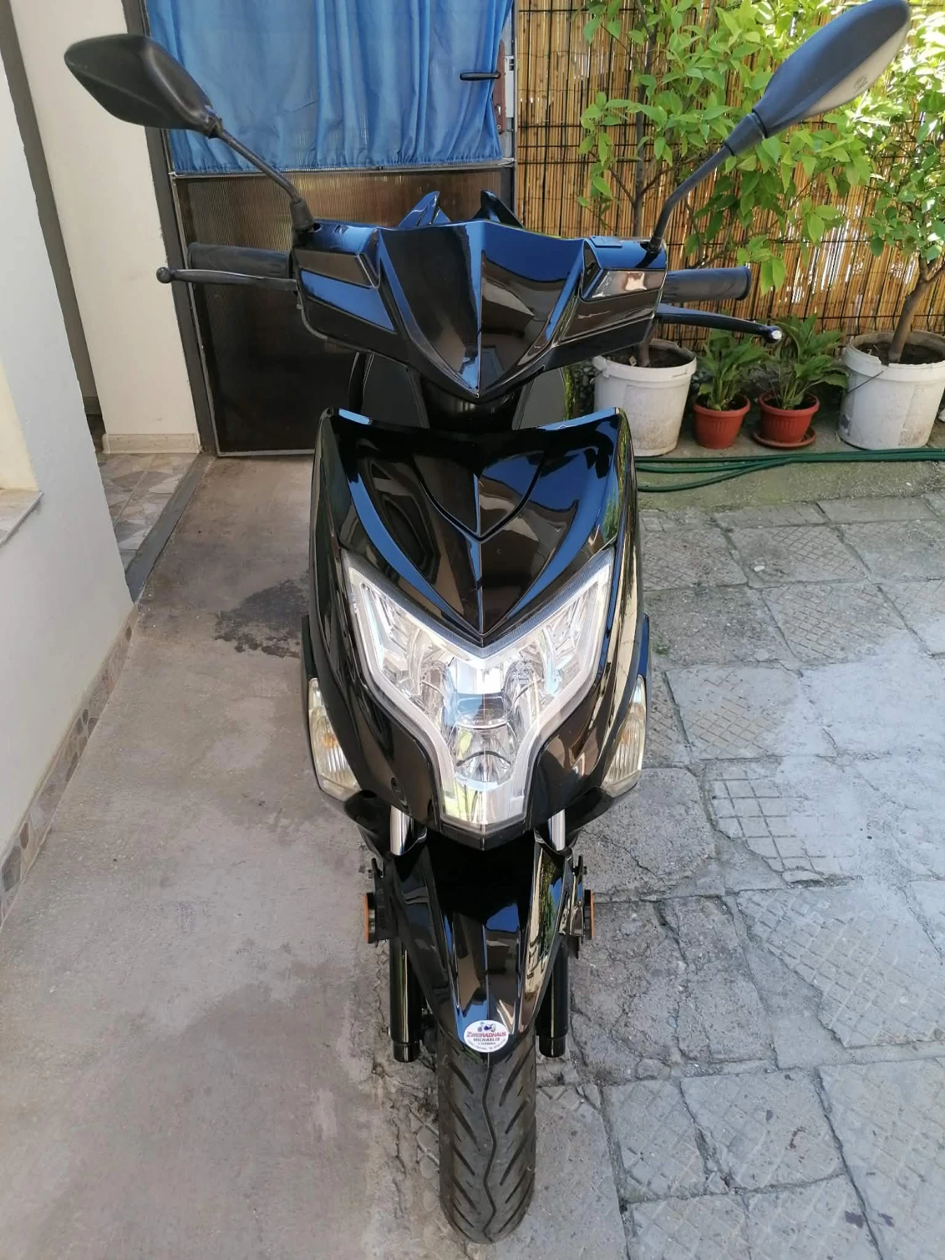 Benelli Zenzero Online Tapo Eco 50