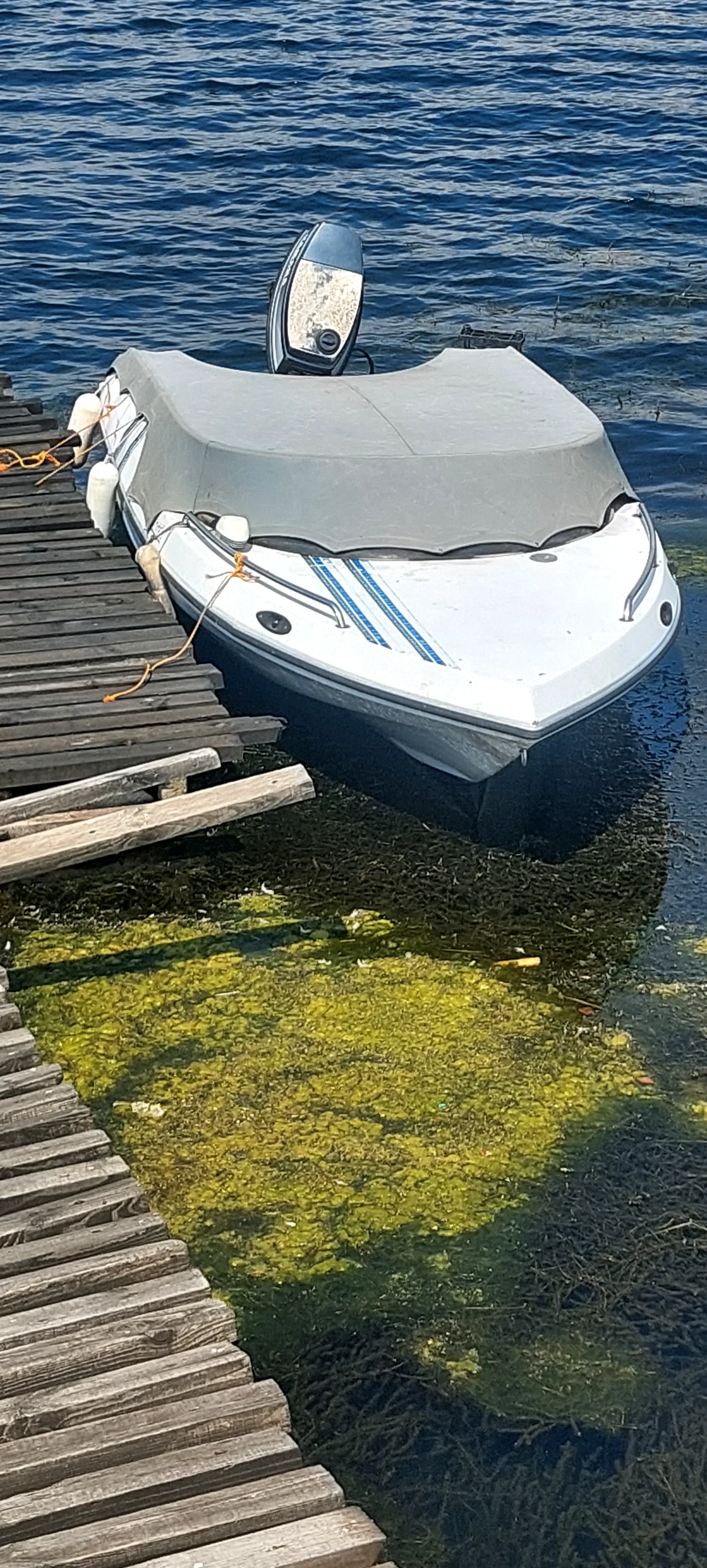  Ranieri LUCA'S | Mobile.bg   1