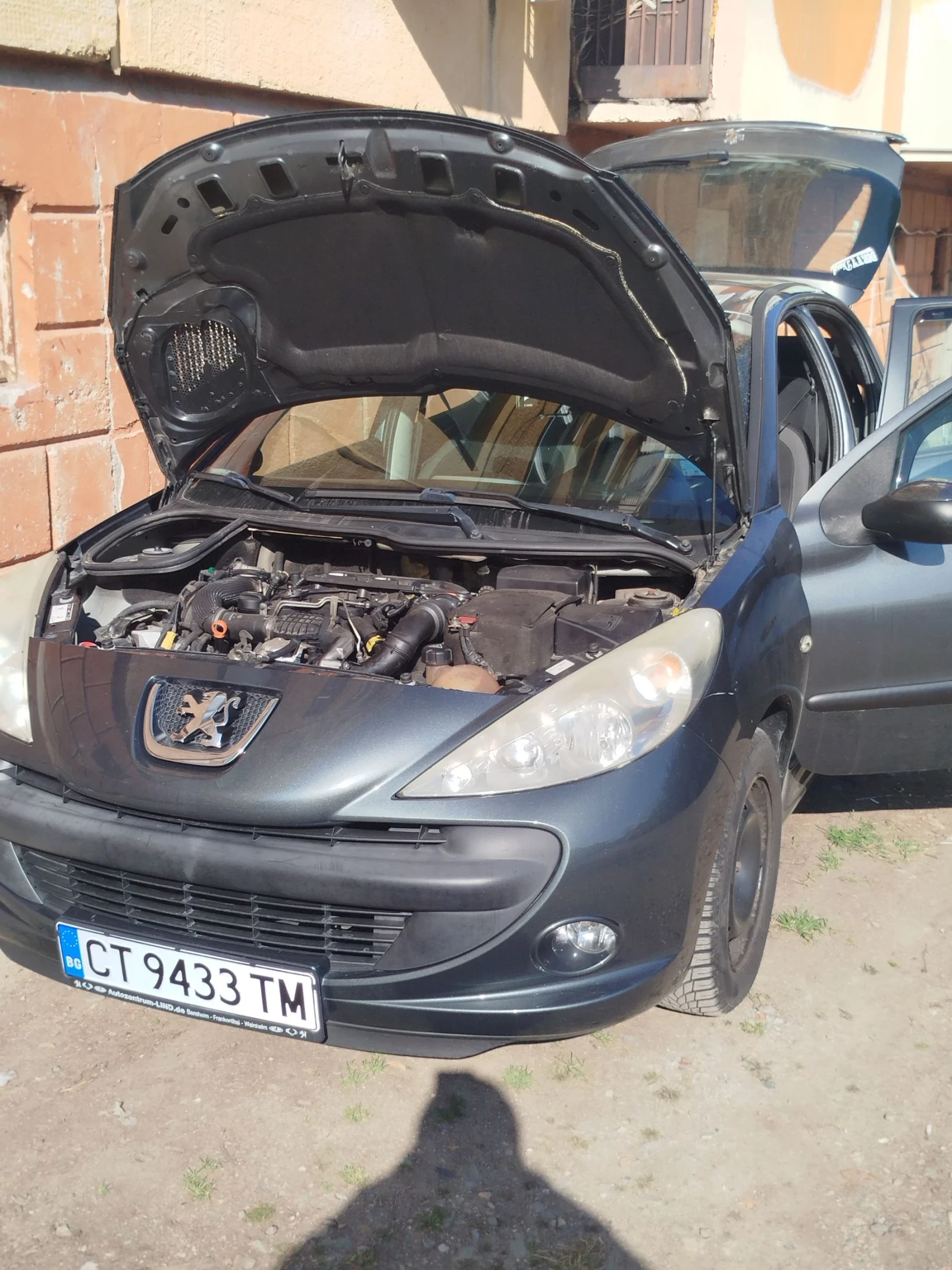 Peugeot 206 Лек 