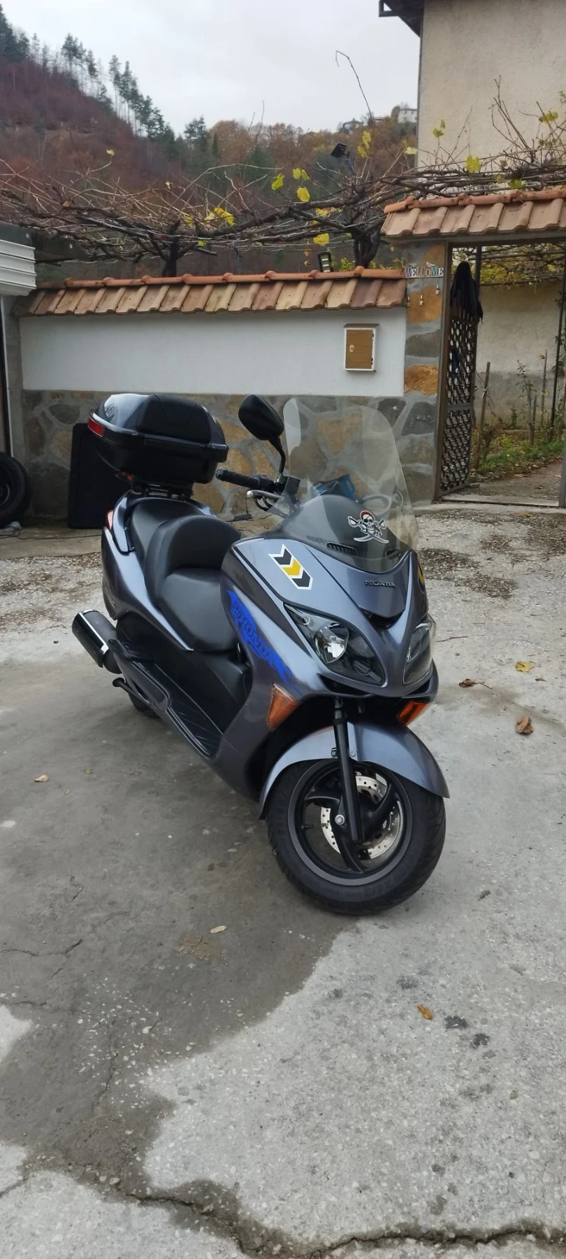 Honda Forza NSS250 EX 