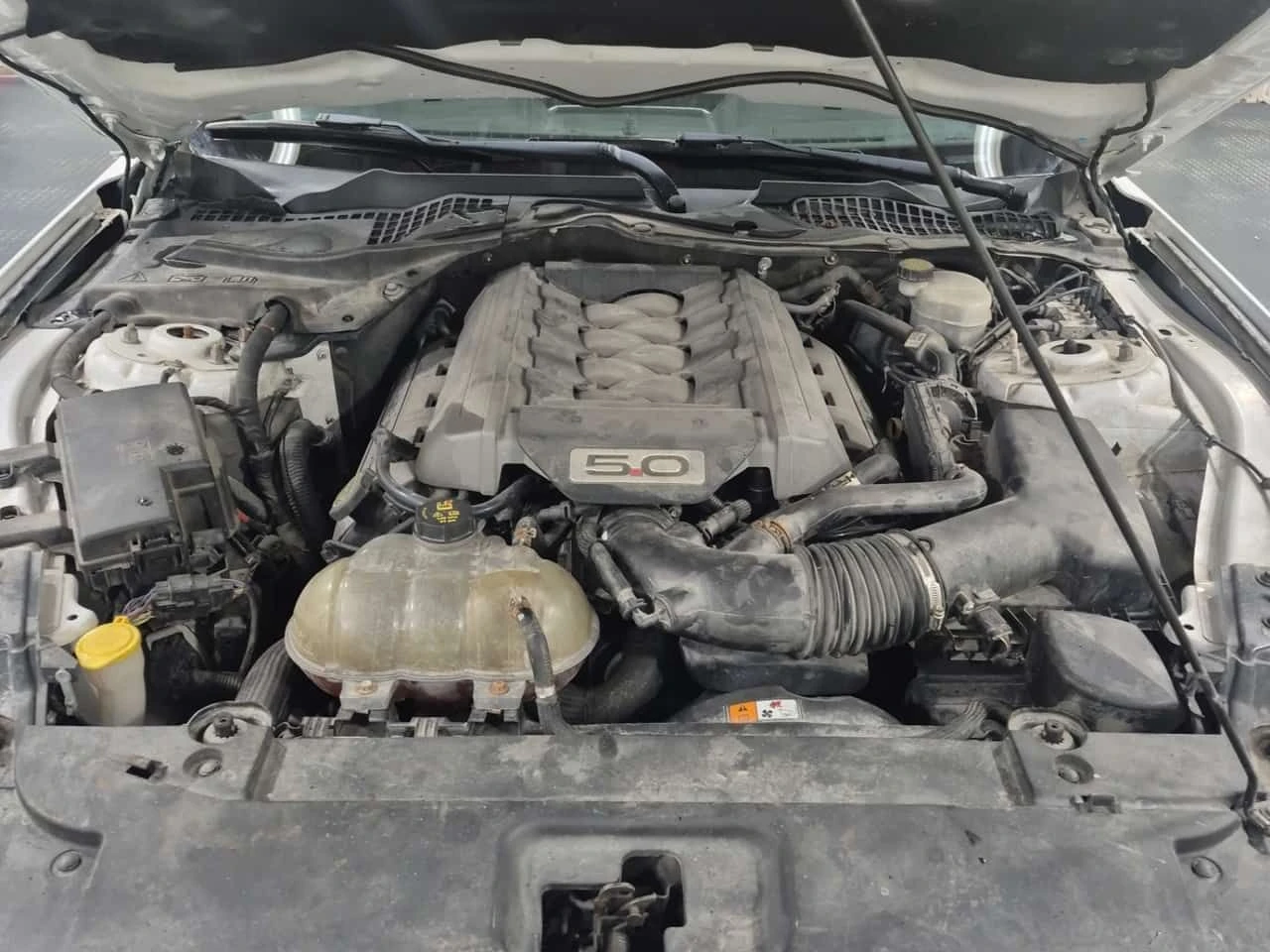 Ford Mustang * GT PREMIUM * CARFAX * ПОДГРЕВИ* ОБДУХВАНЕ* , снимка 17 - Автомобили и джипове - 53771283