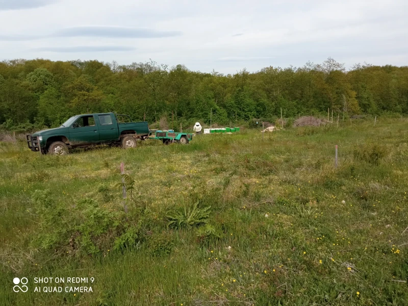 Nissan Pickup D21, снимка 6 - Автомобили и джипове - 47248773