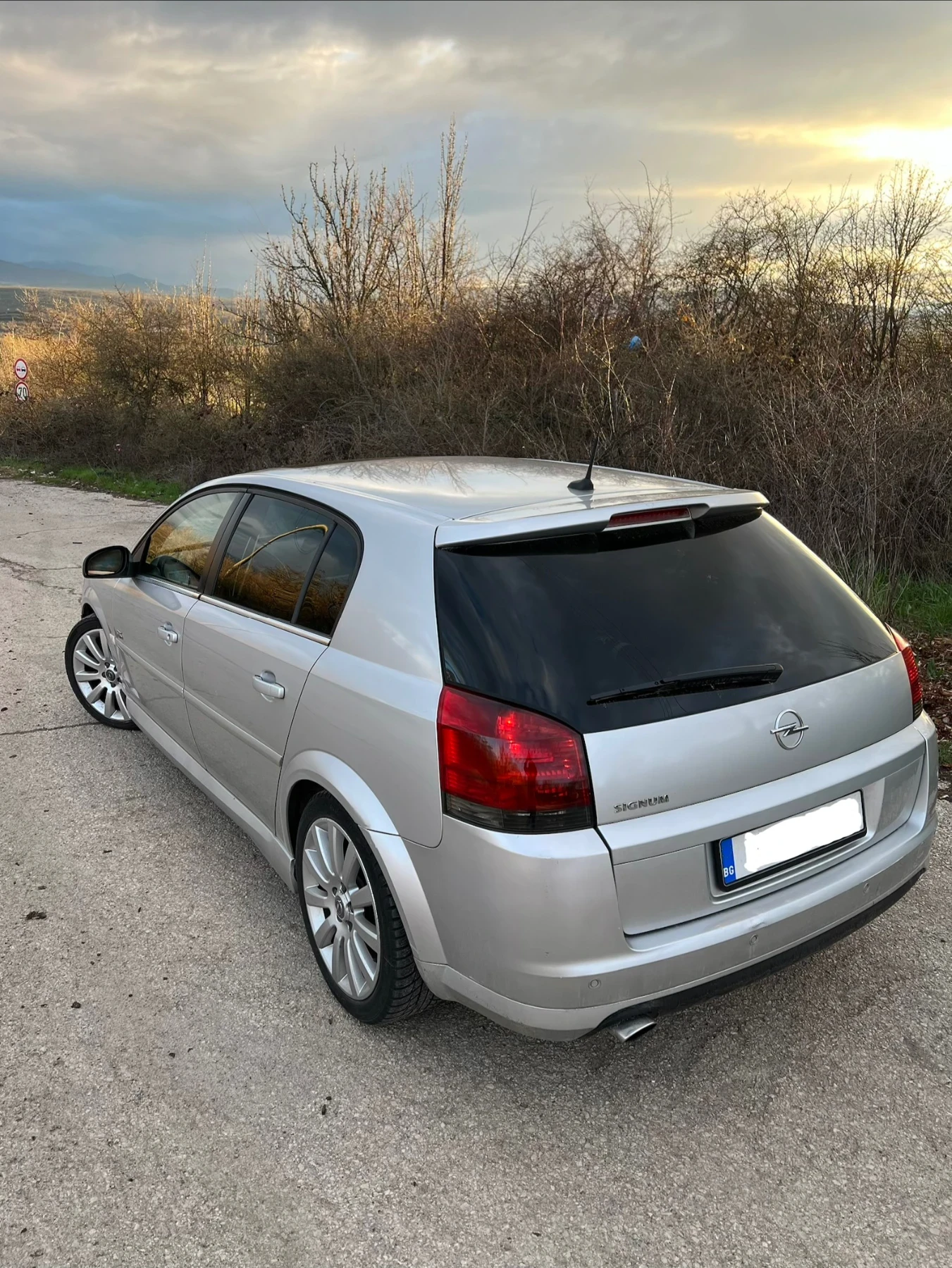 Opel Signum 1.9 CDTI Opc Line, снимка 2 - Автомобили и джипове - 54010797