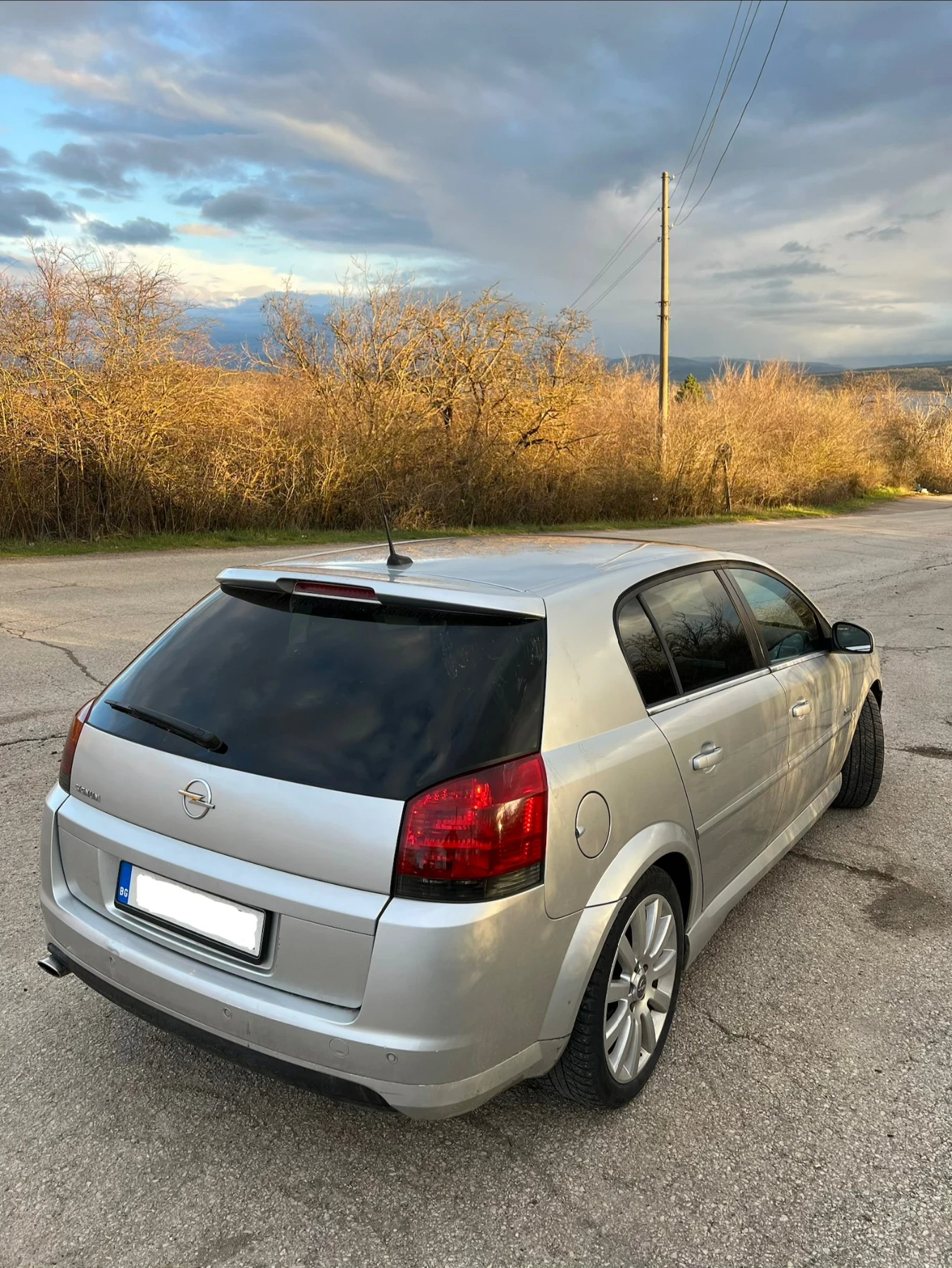 Opel Signum 1.9 CDTI Opc Line, снимка 4 - Автомобили и джипове - 54010797
