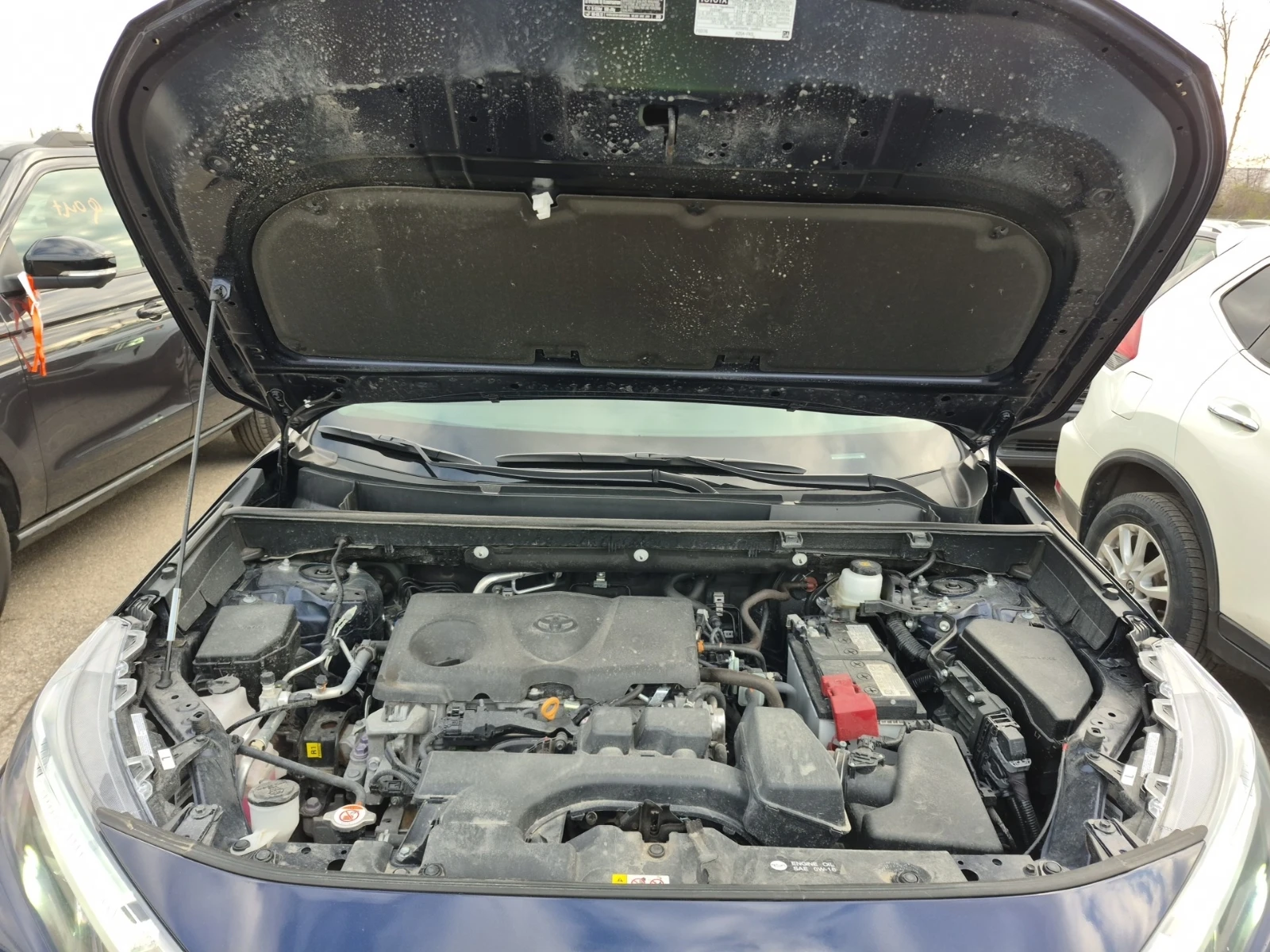 Toyota Rav4 | Mobile.bg � ����������� 14