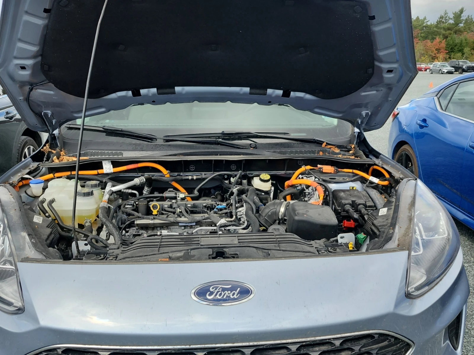 Ford Escape * CARFAX * БЕЗ ПЪРВОНАЧАЛНА ВНОСКА - изображение 8